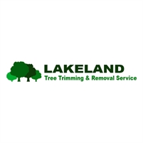 Lakeland Tree Trimming & Removal Service Tree Removal  Services