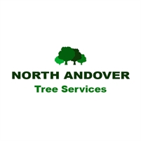 Tree Service Company Andover Henry Testa