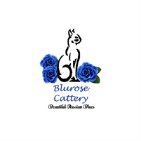  Blu Rose  Cattery