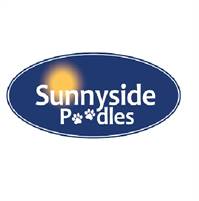  Sunnyside  Poodles